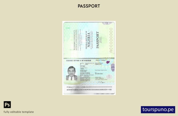 Plantilla de pasaporte de Nigeria ( presente) lista para imprimir